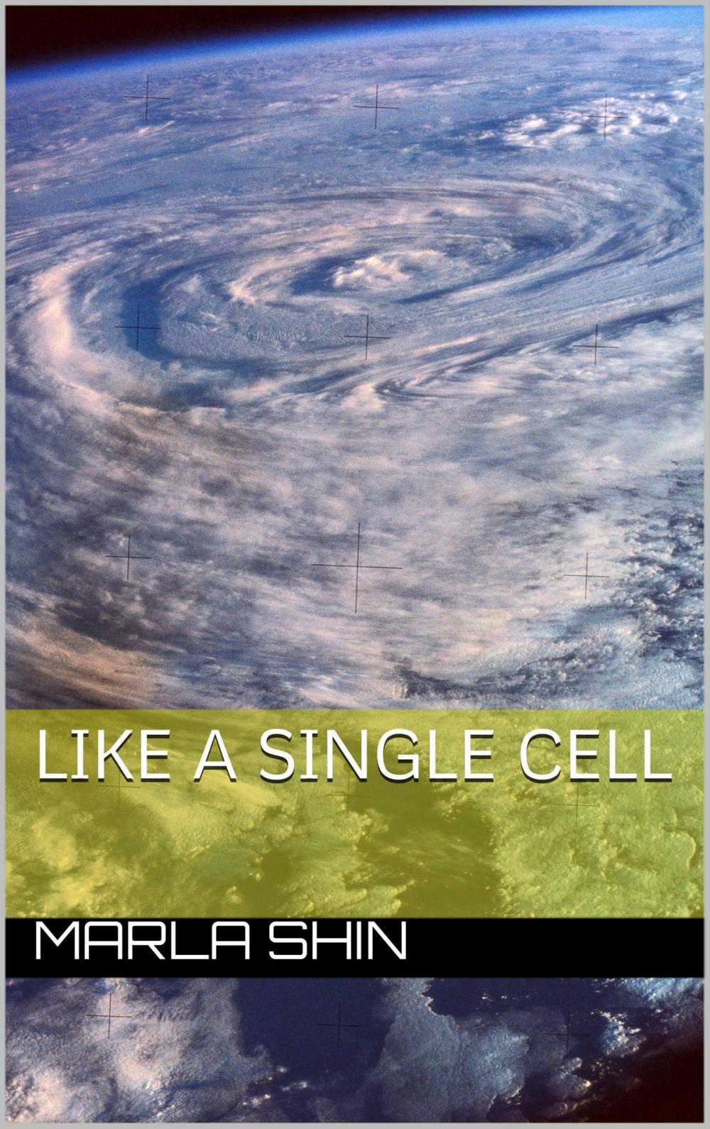 Big bigCover of Like a Single Cell