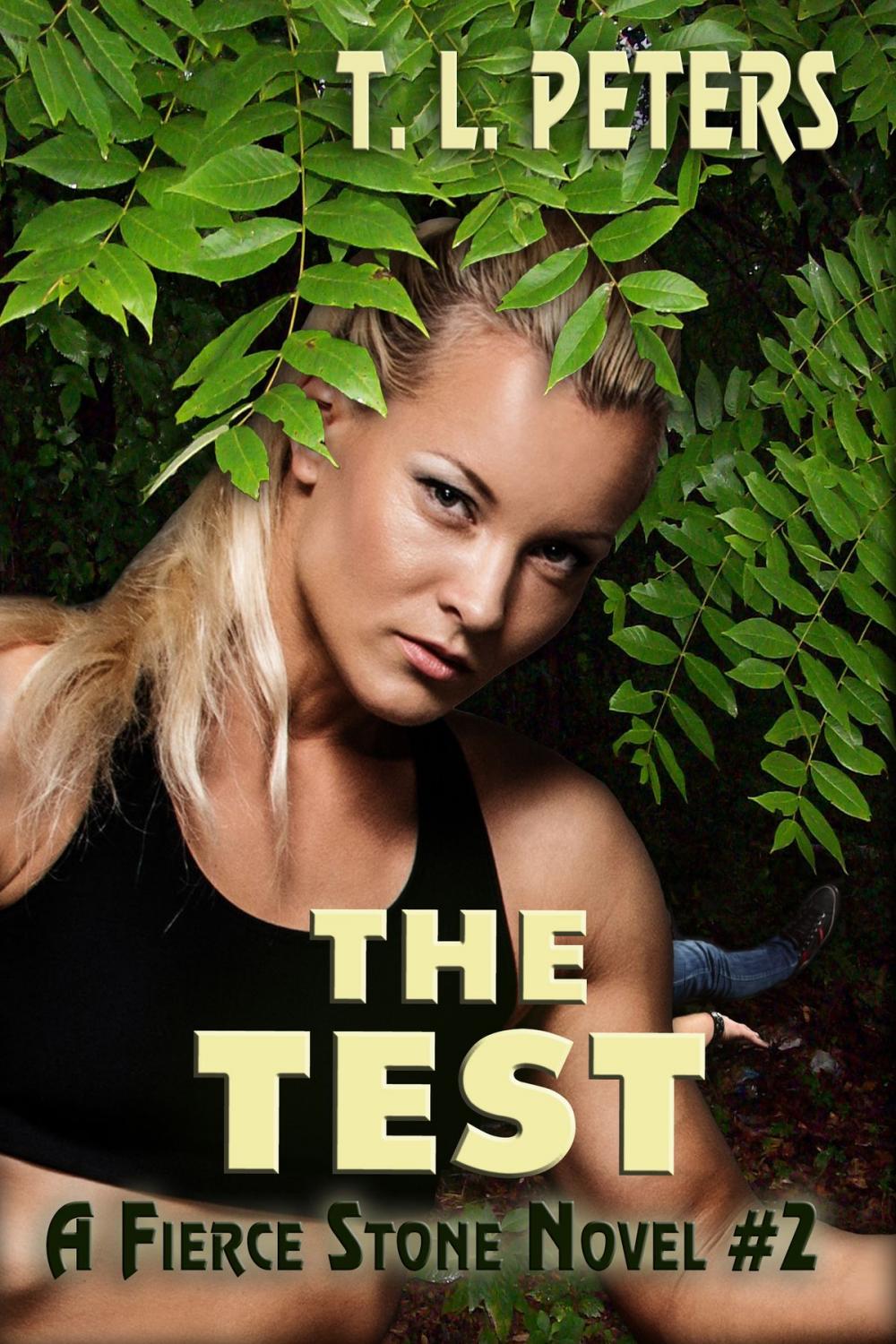 Big bigCover of The Test, A Fierce Stone Novel #2