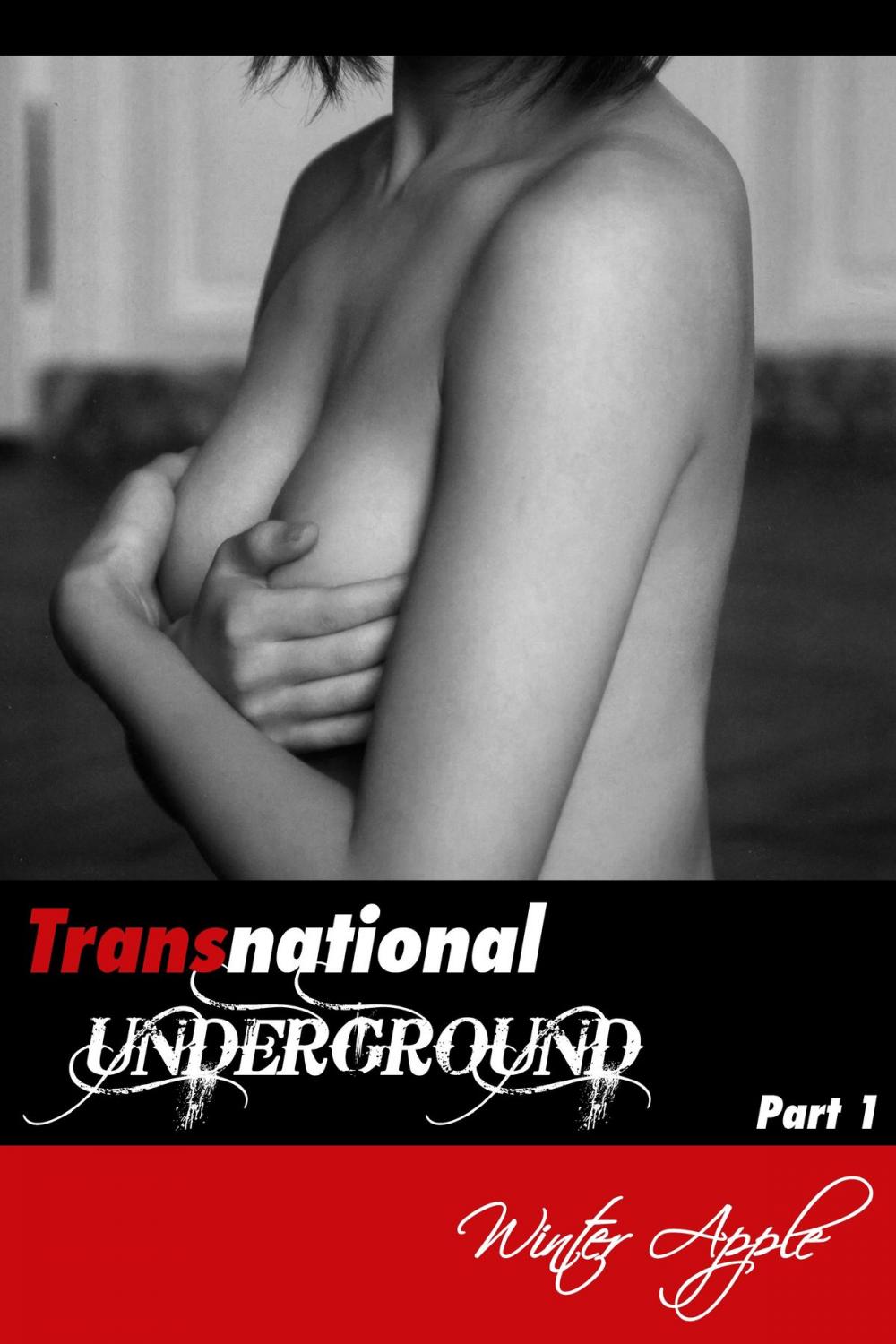 Big bigCover of Transnational Underground Part 1