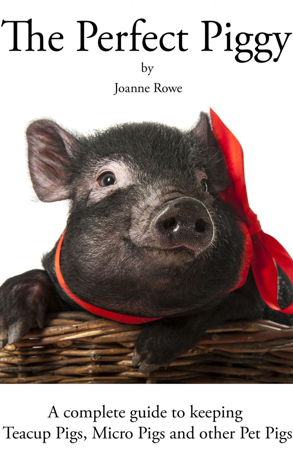Big bigCover of The Perfect Piggy: A guide to Teacup Pigs, Micro Pigs and other Pet Pigs