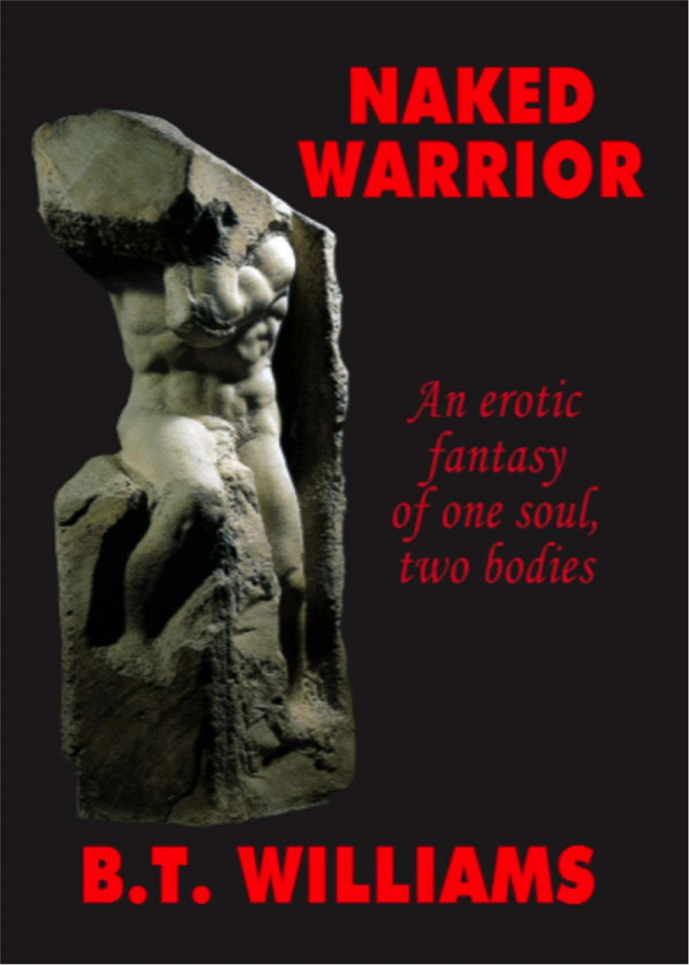 Big bigCover of Naked Warrior- An Erotic Fantasy of One Soul, Two Bodies