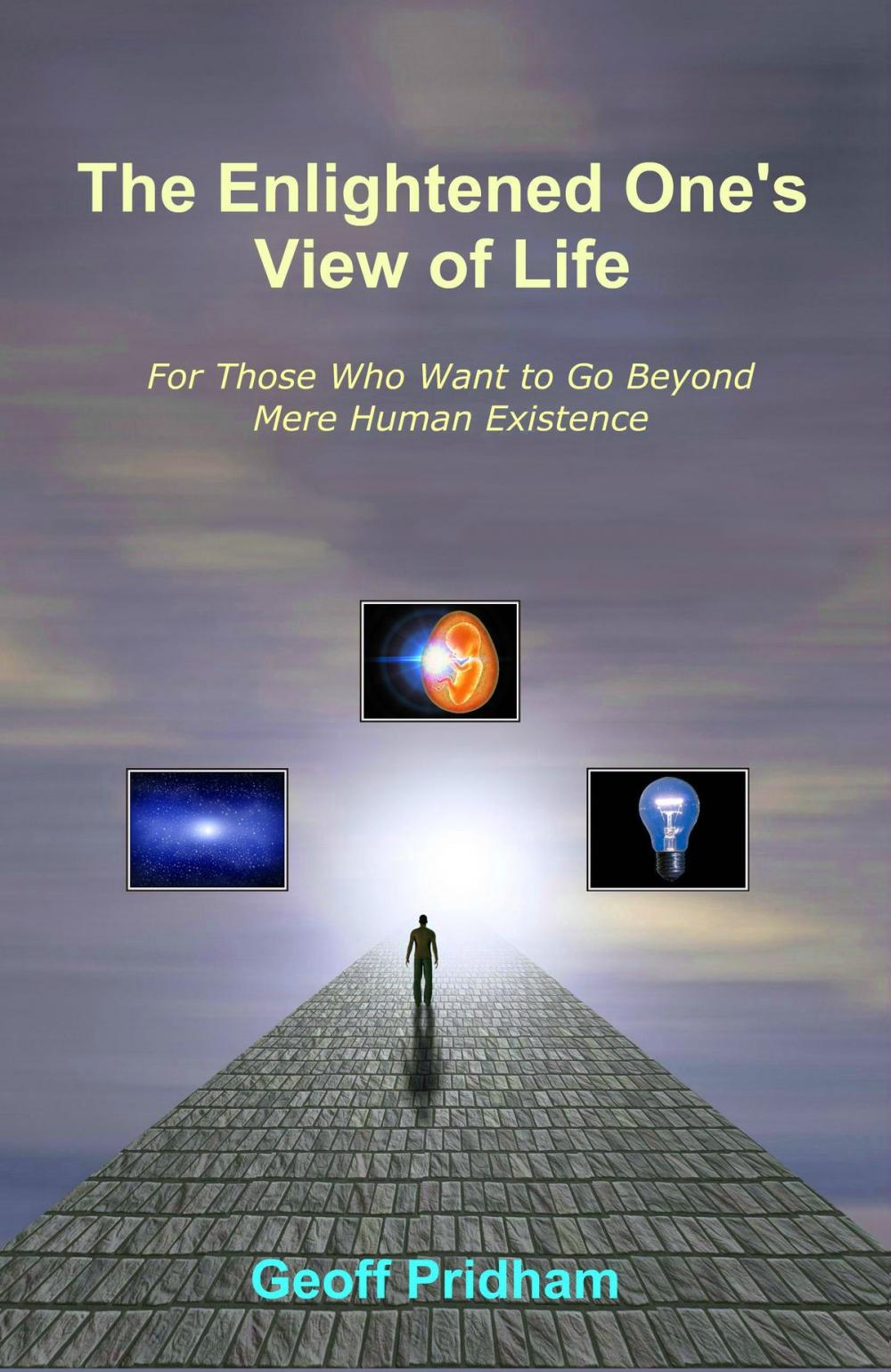 Big bigCover of The Enlightened One’s View of Life