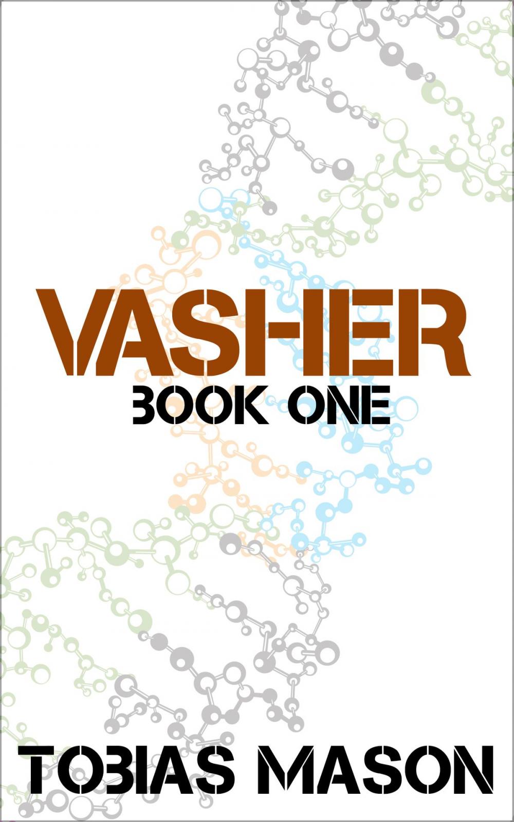 Big bigCover of Vasher: Book One