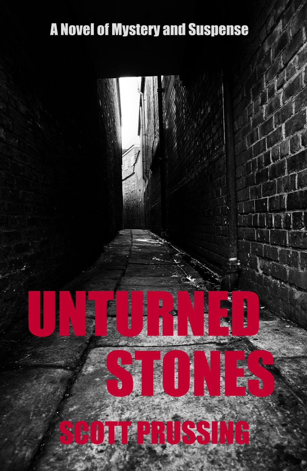 Big bigCover of Unturned Stones