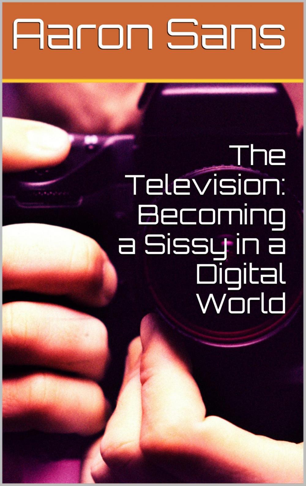 Big bigCover of The Television: Becoming a Sissy in a Digital World