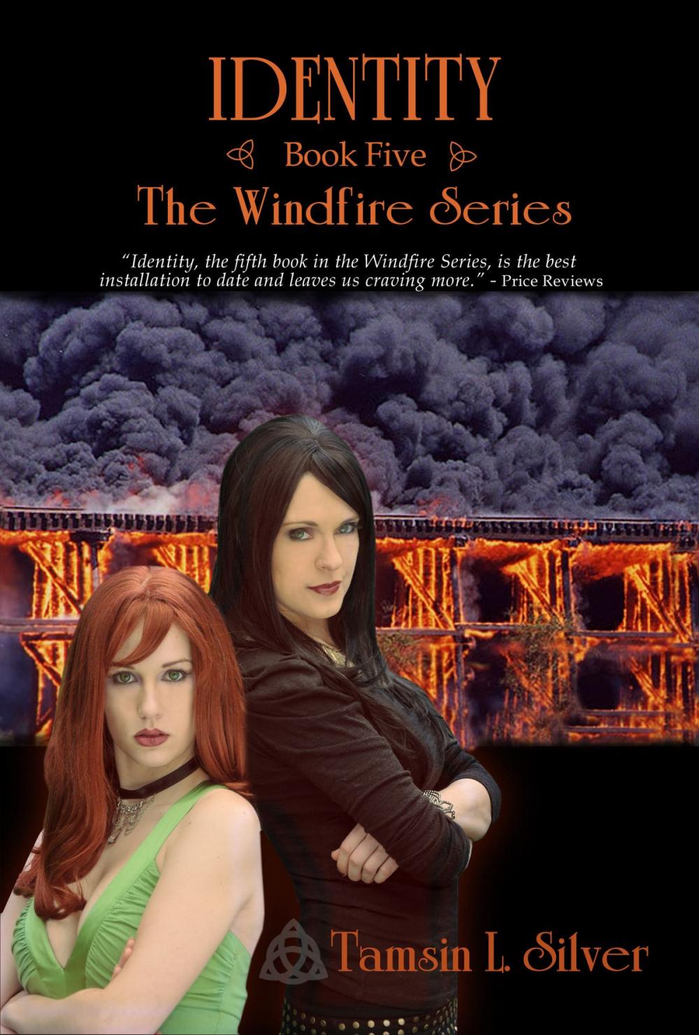 Big bigCover of Identity (Book 5 - Windfire Series)