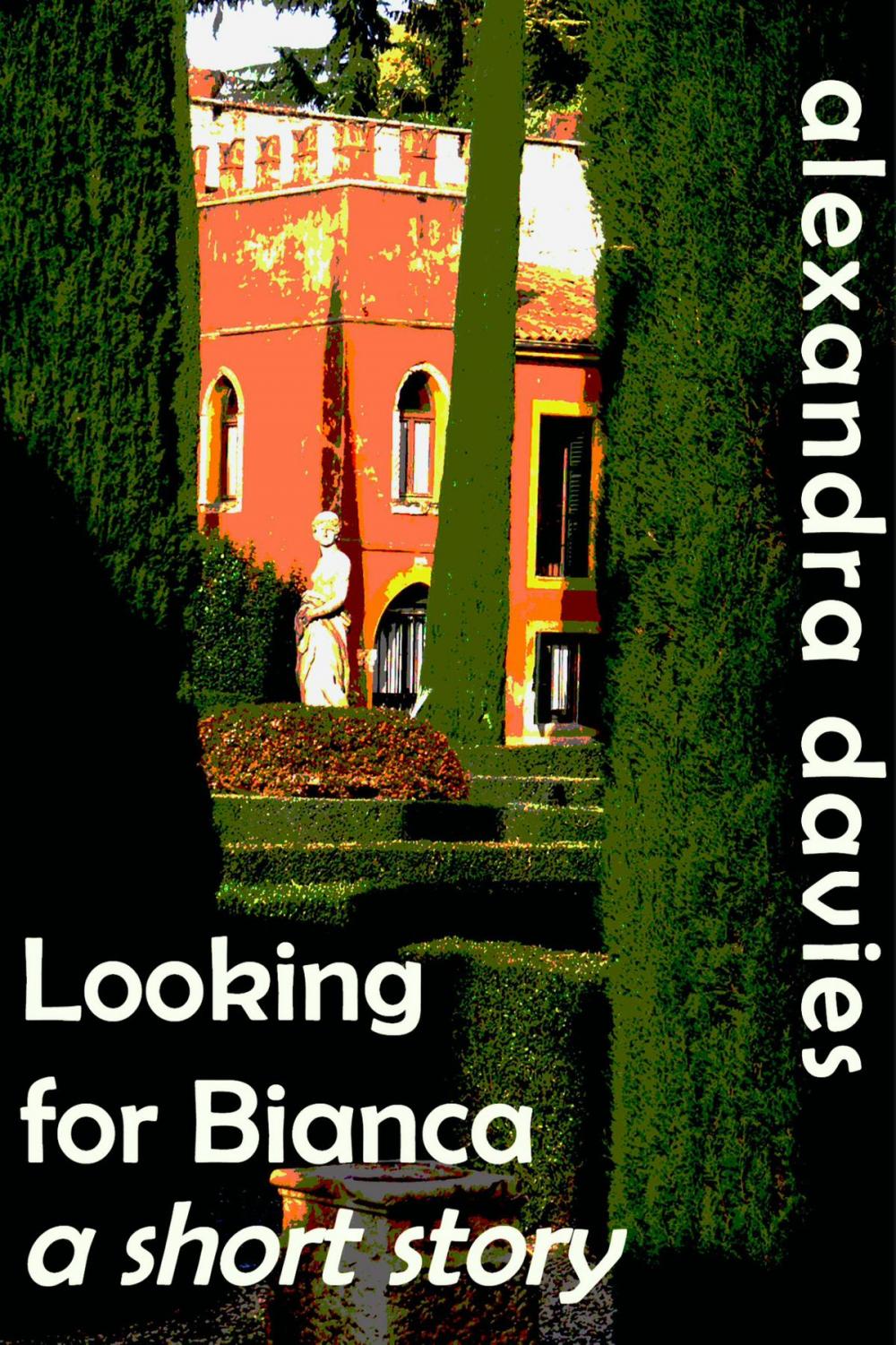 Big bigCover of Looking for Bianca: a short story