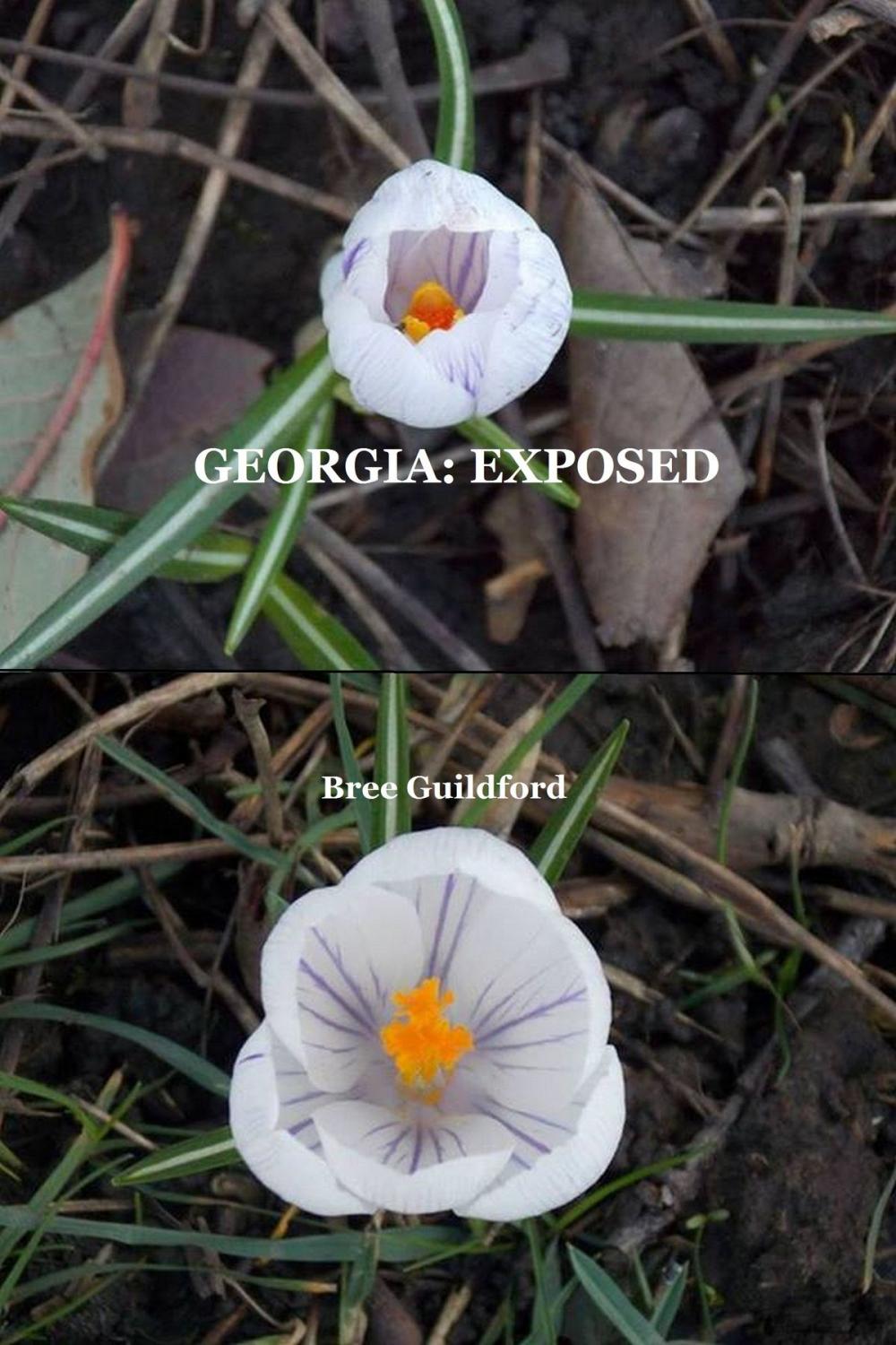 Big bigCover of Georgia: Exposed