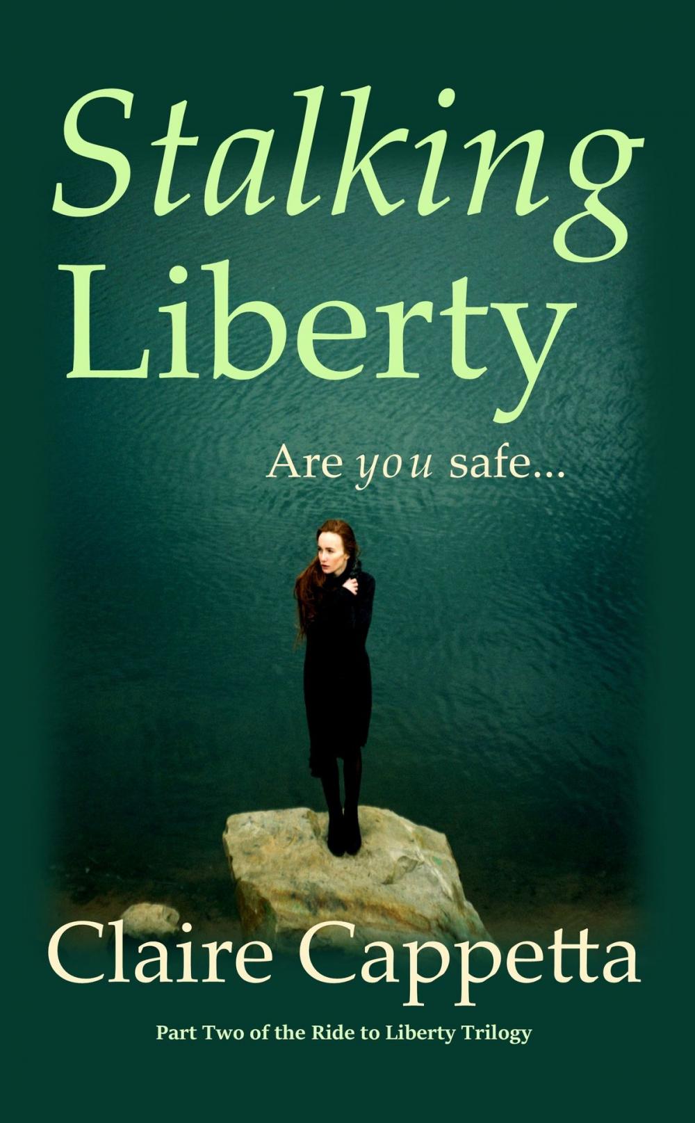 Big bigCover of Stalking Liberty