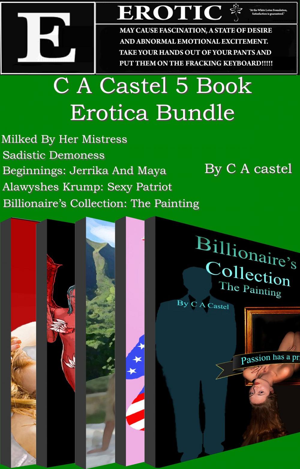 Big bigCover of C A Castel 5 Book Erotica Bundle