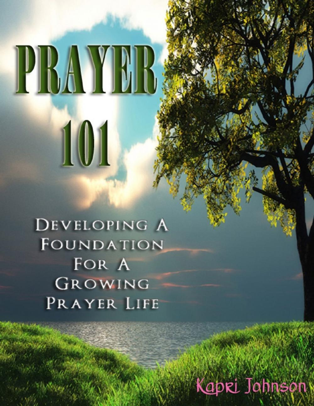 Big bigCover of Prayer 101