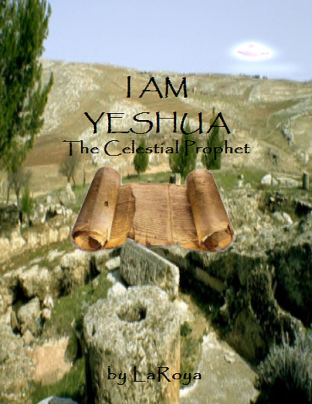 Big bigCover of I AM YESHUA:The Celestial Prophet