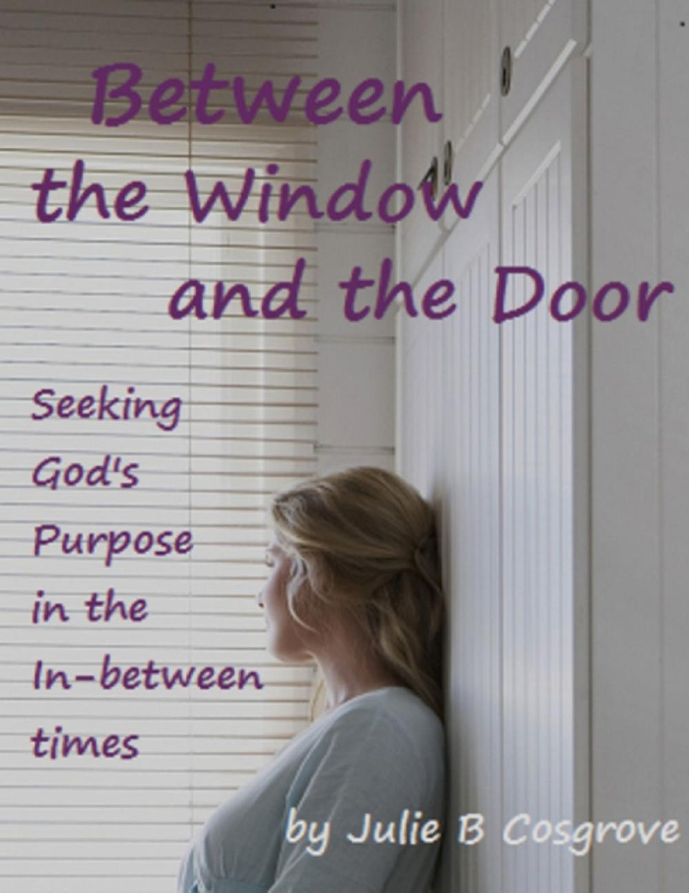 Big bigCover of Between the Window and the Door