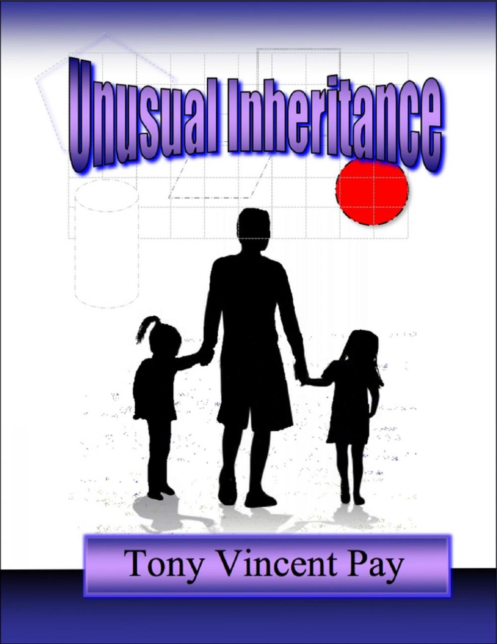 Big bigCover of Unusual Inheritance