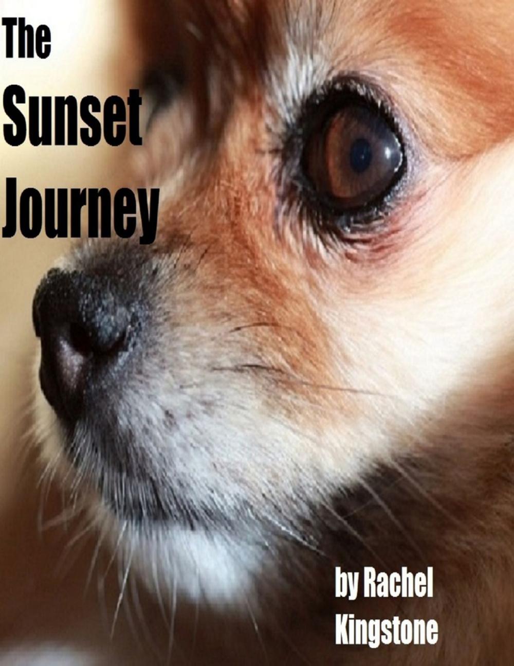 Big bigCover of The Sunset Journey