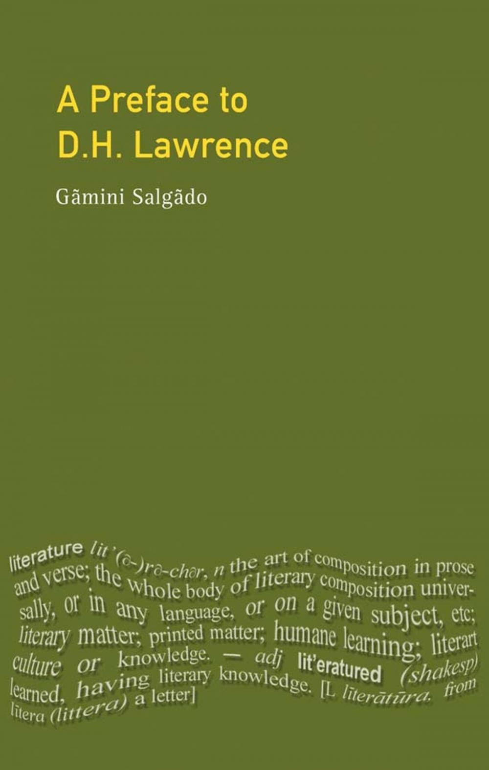 Big bigCover of A Preface to Lawrence