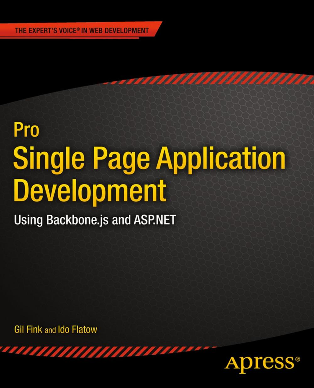 Big bigCover of Pro Single Page Application Development