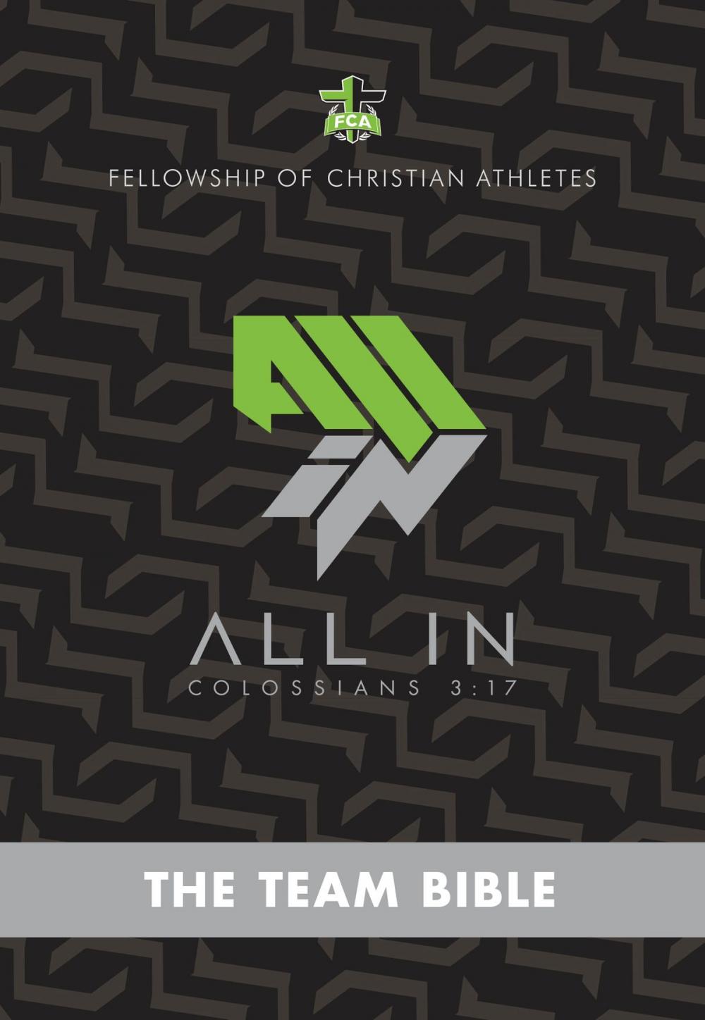 Big bigCover of The Team Bible: All In Edition