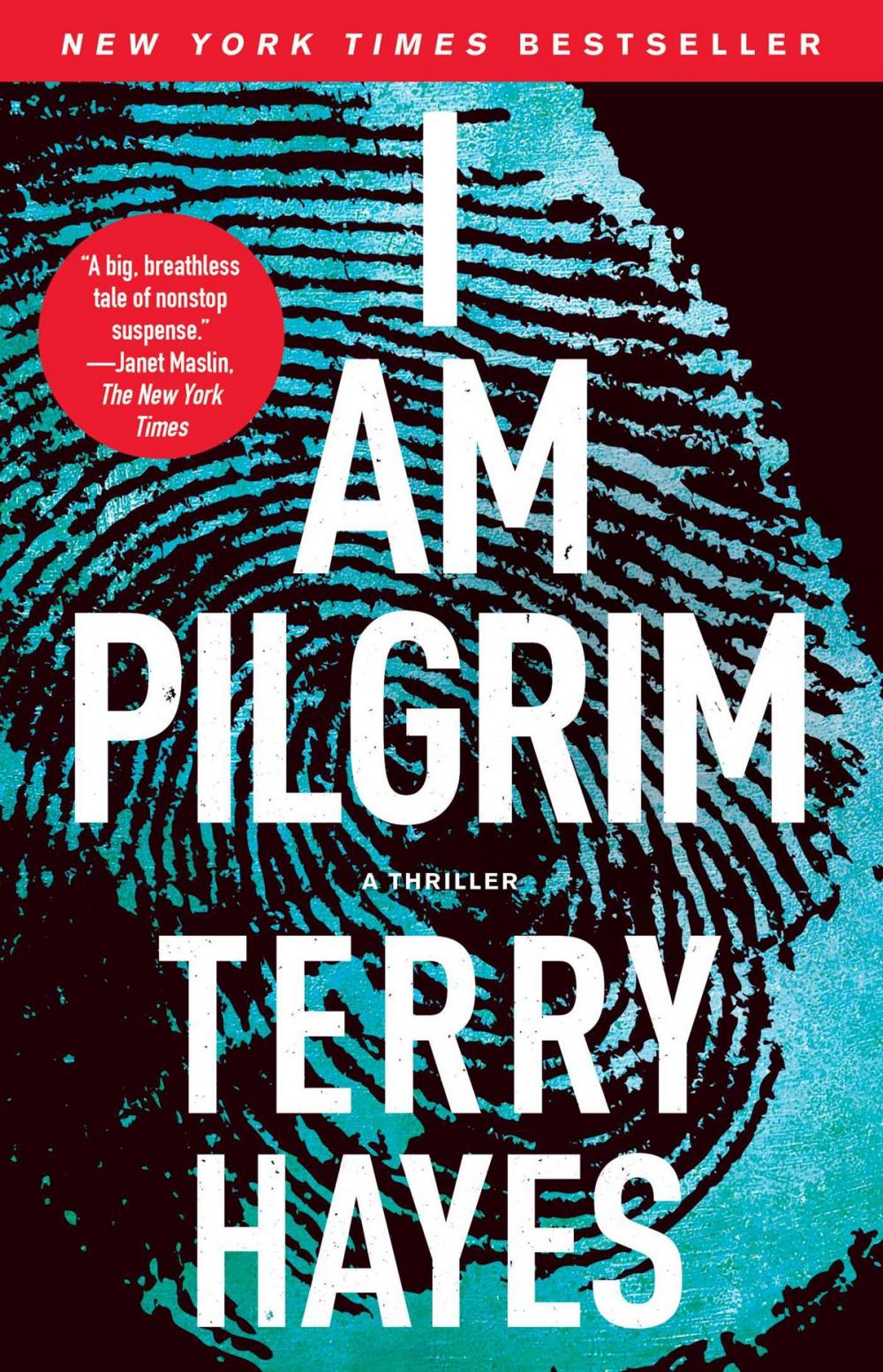 Big bigCover of I Am Pilgrim