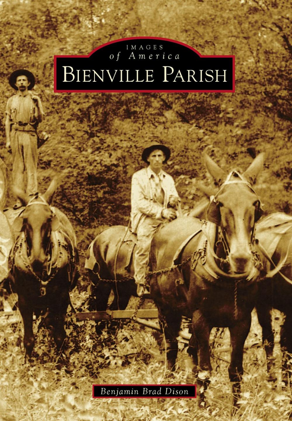 Big bigCover of Bienville Parish