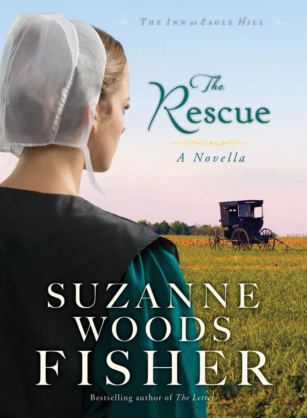 Big bigCover of The Rescue (Ebook Shorts) (The Inn at Eagle Hill)