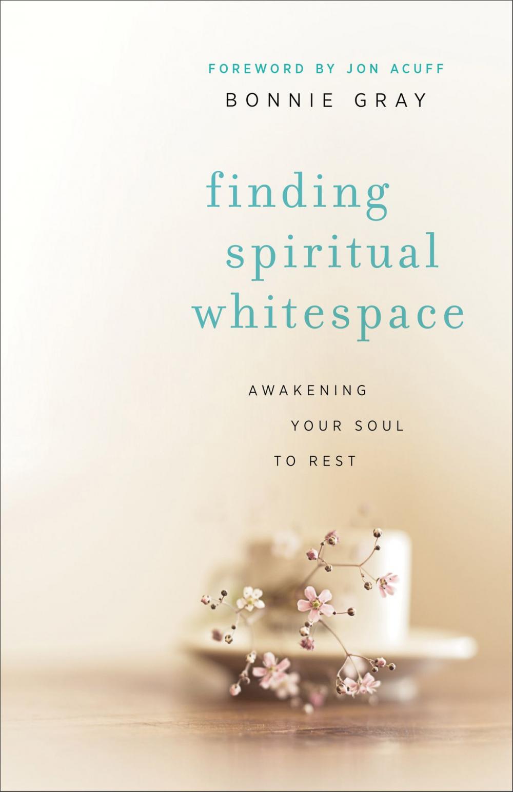 Big bigCover of Finding Spiritual Whitespace