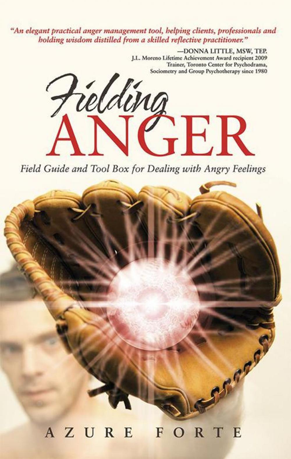 Big bigCover of Fielding Anger