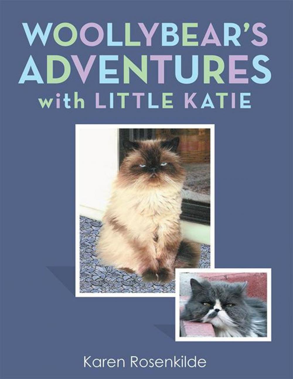 Big bigCover of Woollybear’S Adventures with Little Katie