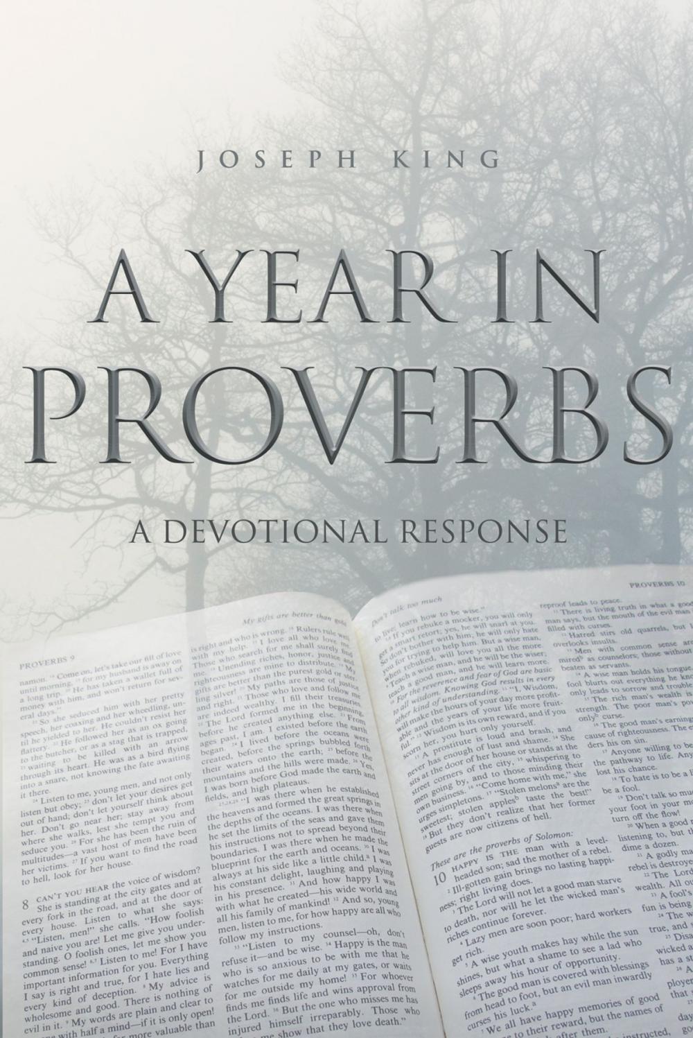 Big bigCover of A Year in Proverbs