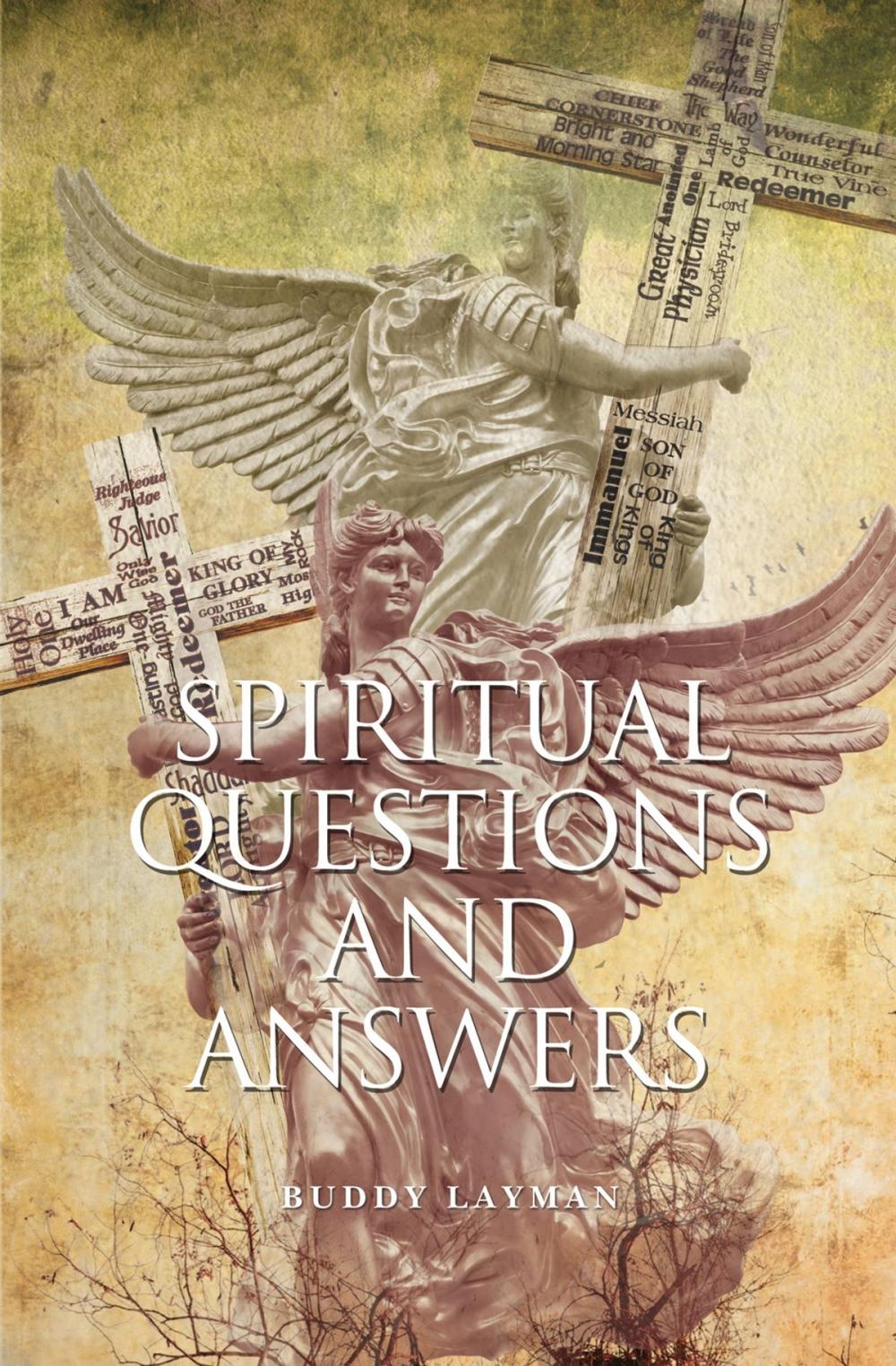 Big bigCover of Spiritual Questions and Answers