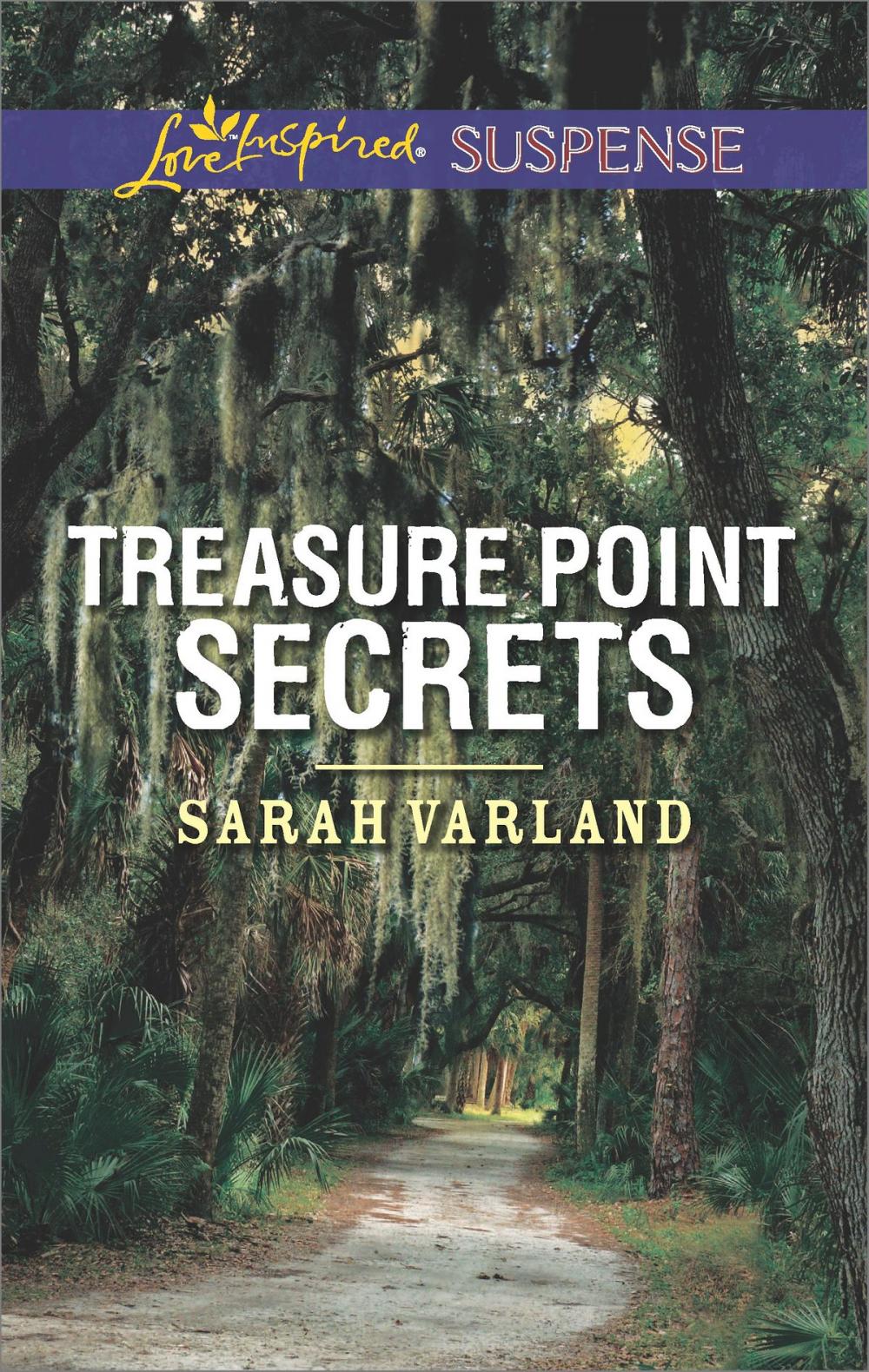 Big bigCover of Treasure Point Secrets