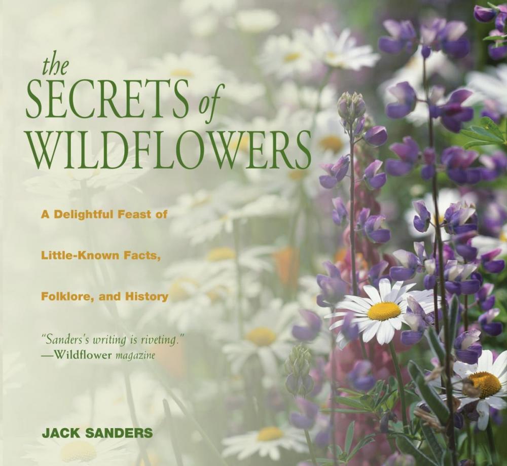 Big bigCover of Secrets of Wildflowers