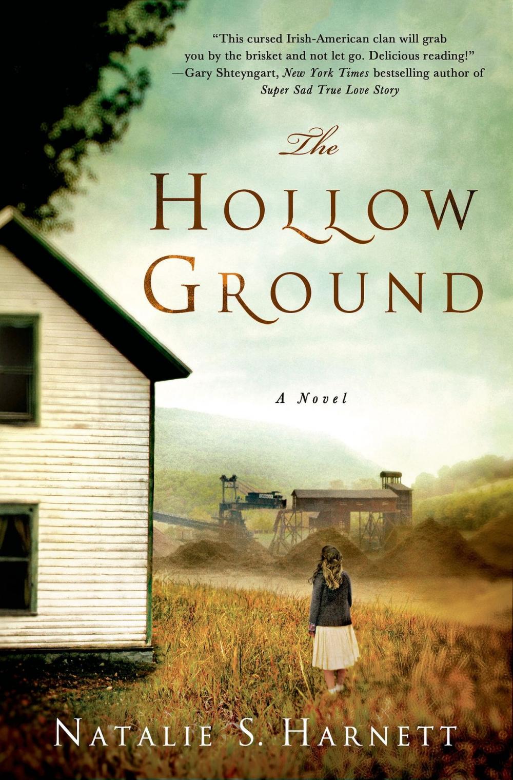 Big bigCover of The Hollow Ground