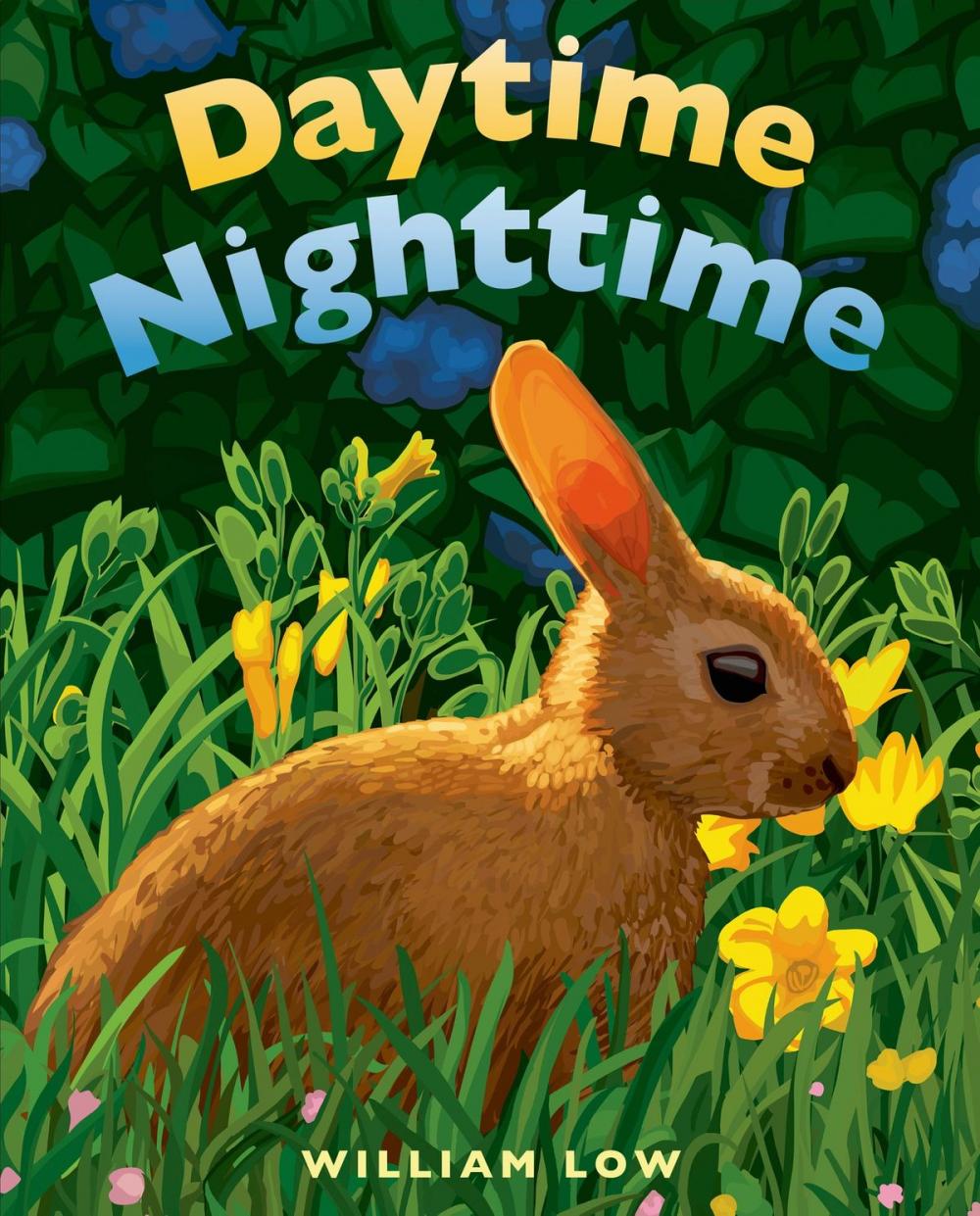 Big bigCover of Daytime Nighttime