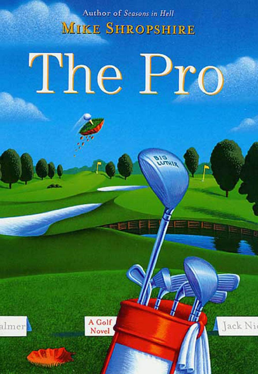 Big bigCover of The Pro