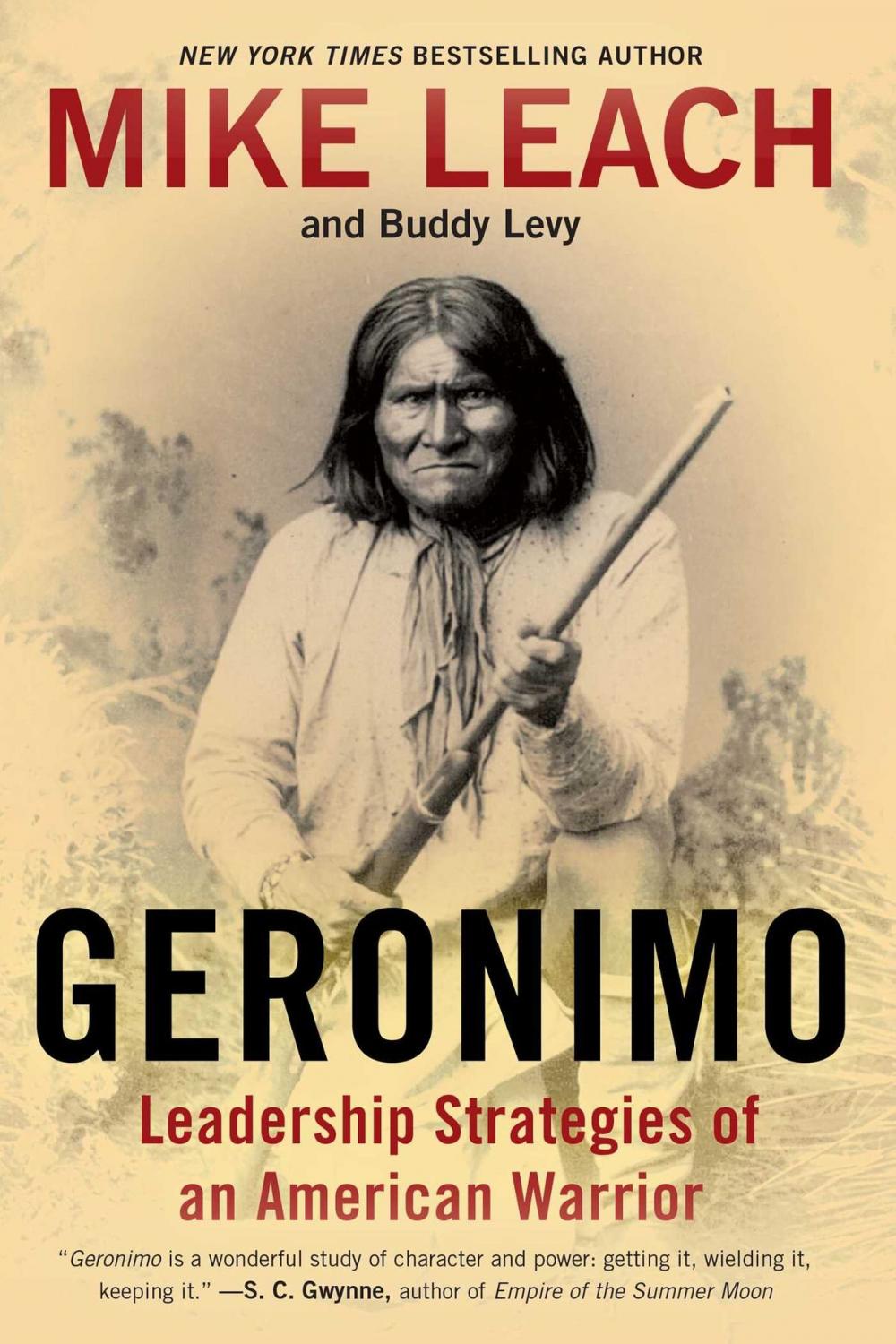 Big bigCover of Geronimo