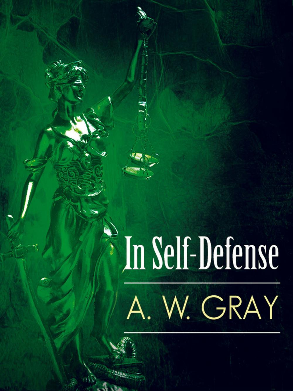 Big bigCover of In Self-Defense