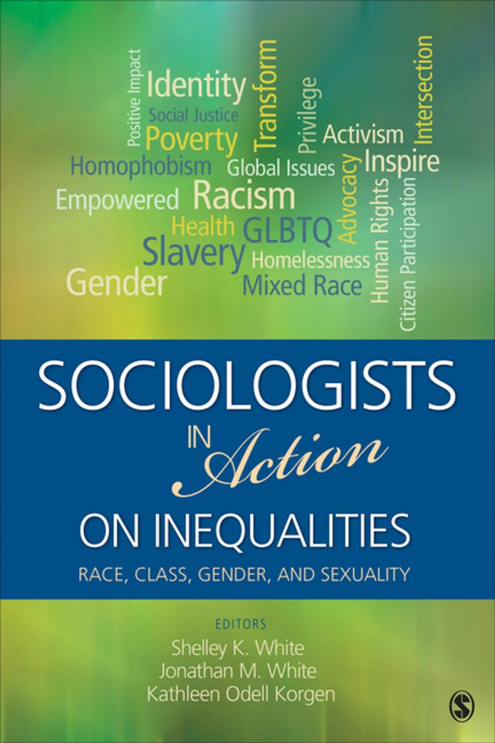 Big bigCover of Sociologists in Action on Inequalities