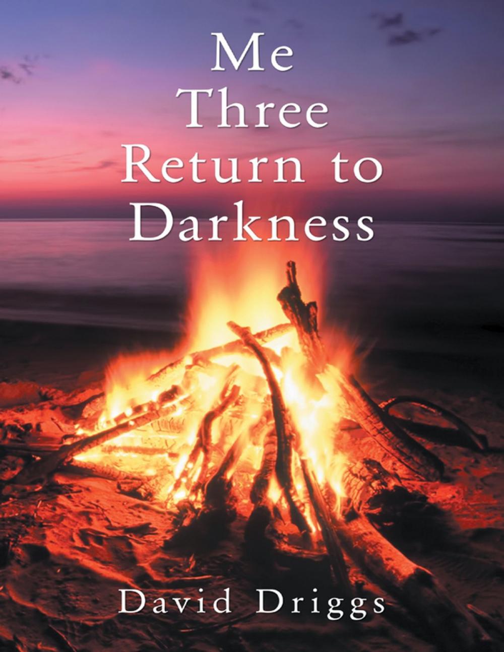 Big bigCover of Me Three: Return to Darkness