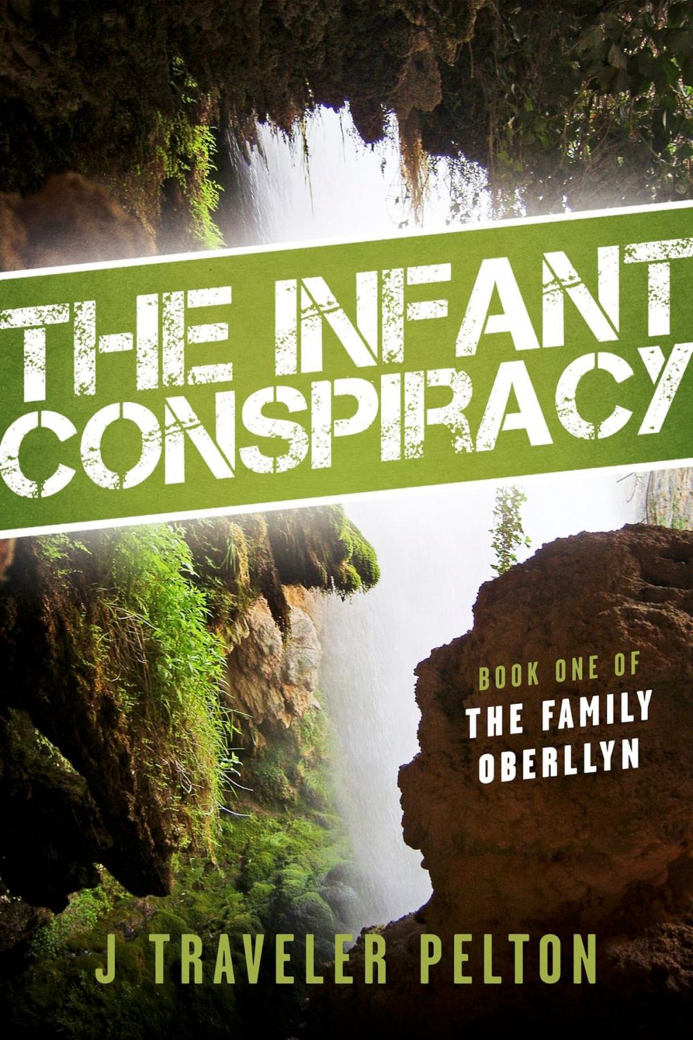 Big bigCover of The Infant Conspiracy