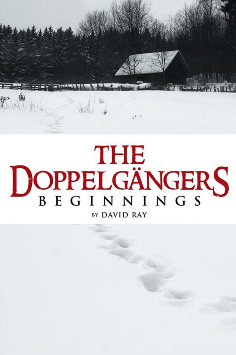 Big bigCover of The Doppelgängers