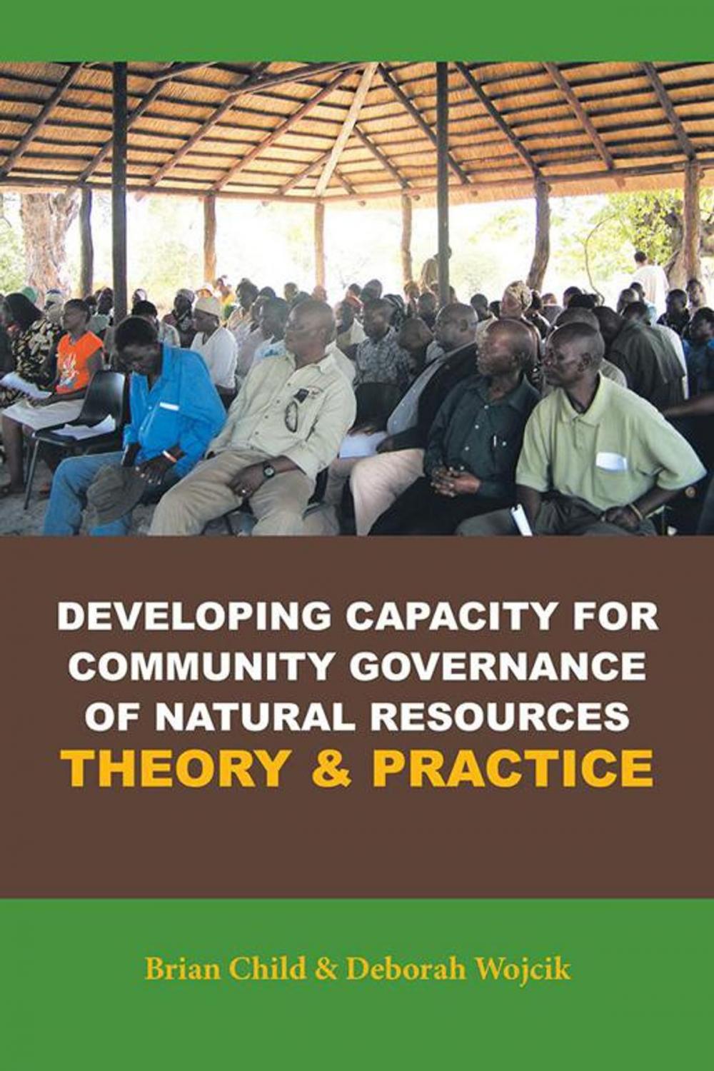 Big bigCover of Developing Capacity for Community Governance of Natural Resources Theory & Practice