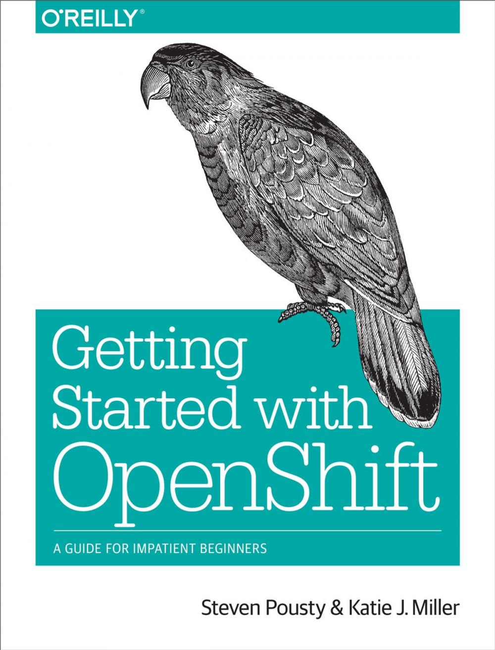 Big bigCover of Getting Started with OpenShift