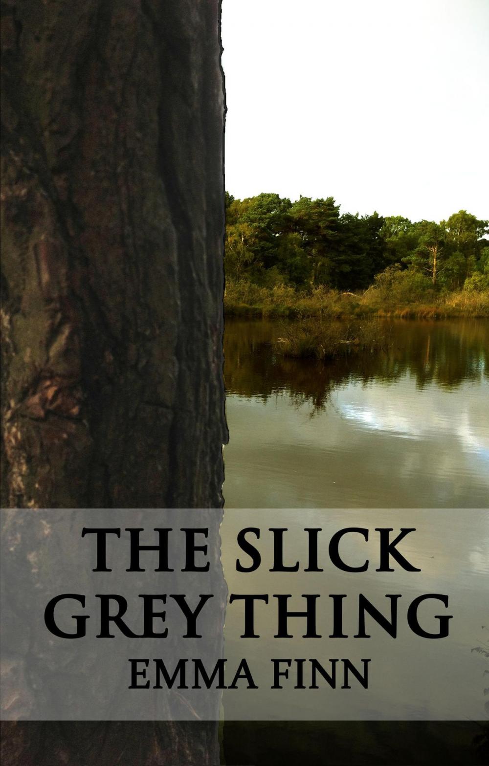 Big bigCover of The Slick Grey Thing