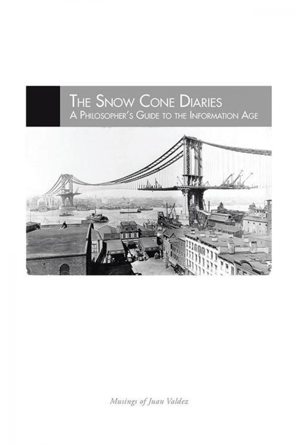 Big bigCover of The Snow Cone Diaries