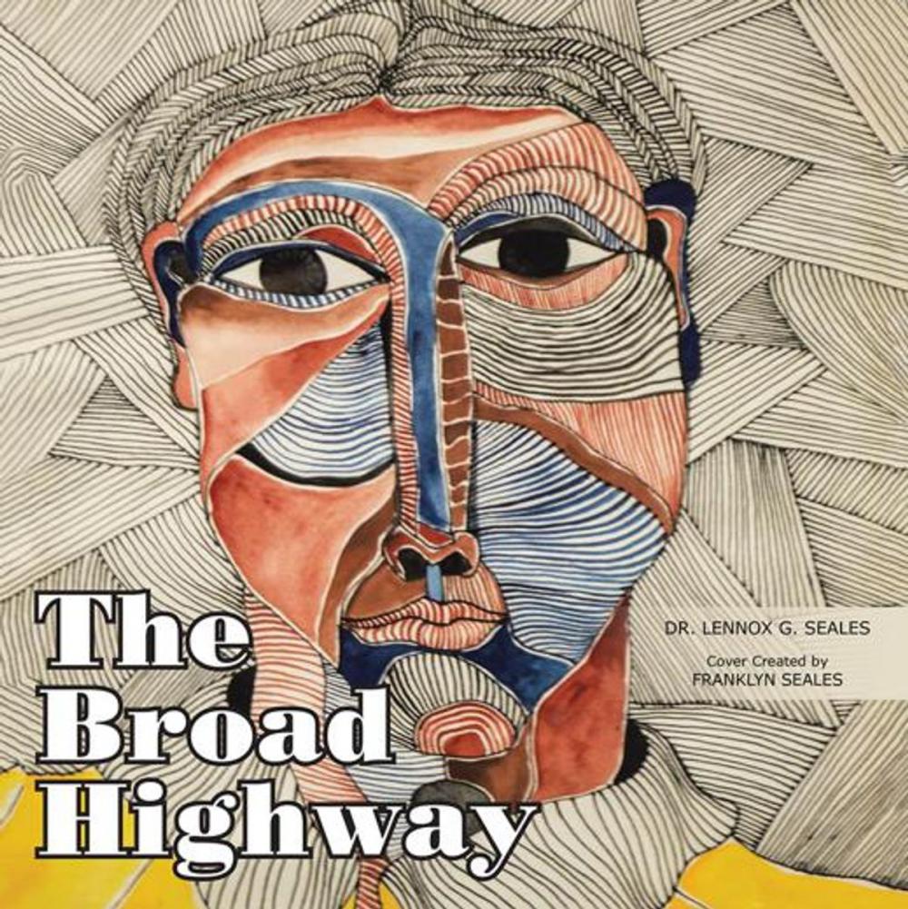 Big bigCover of The Broad Highway