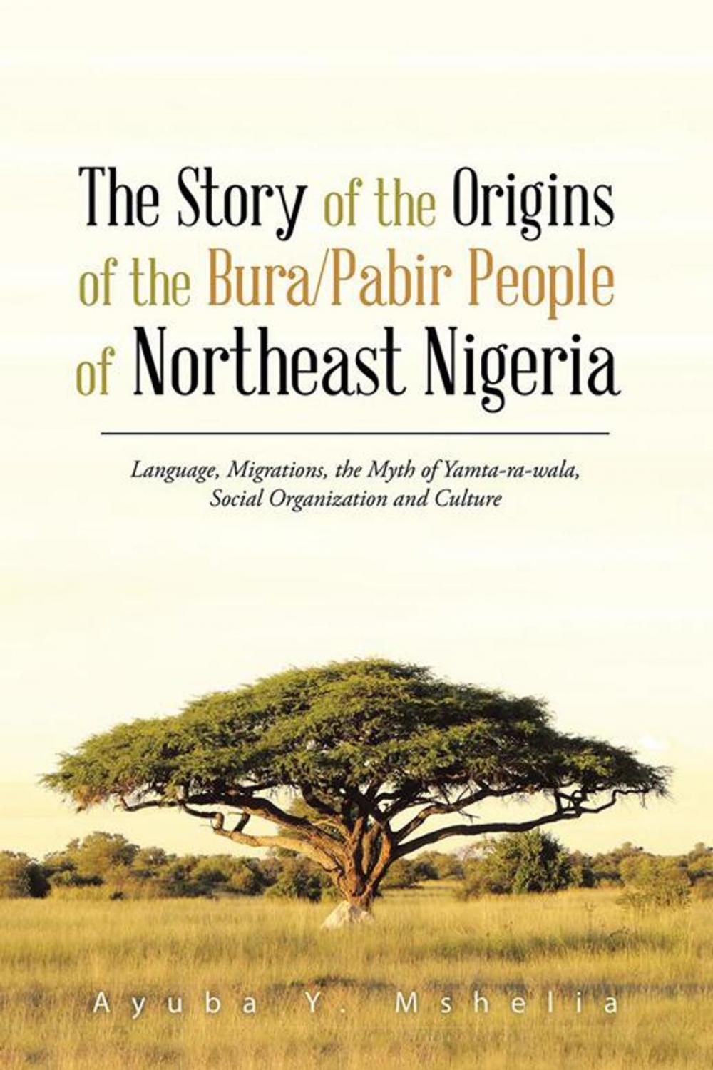 Big bigCover of The Story of the Origins of the Bura/Pabir People of Northeast Nigeria