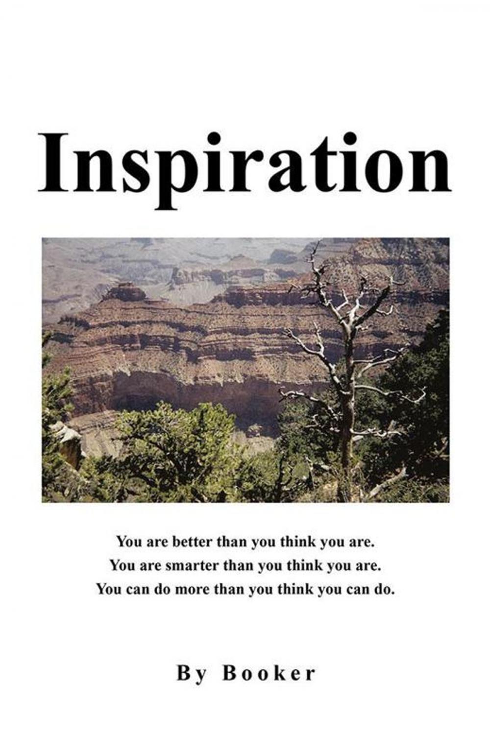 Big bigCover of Inspiration