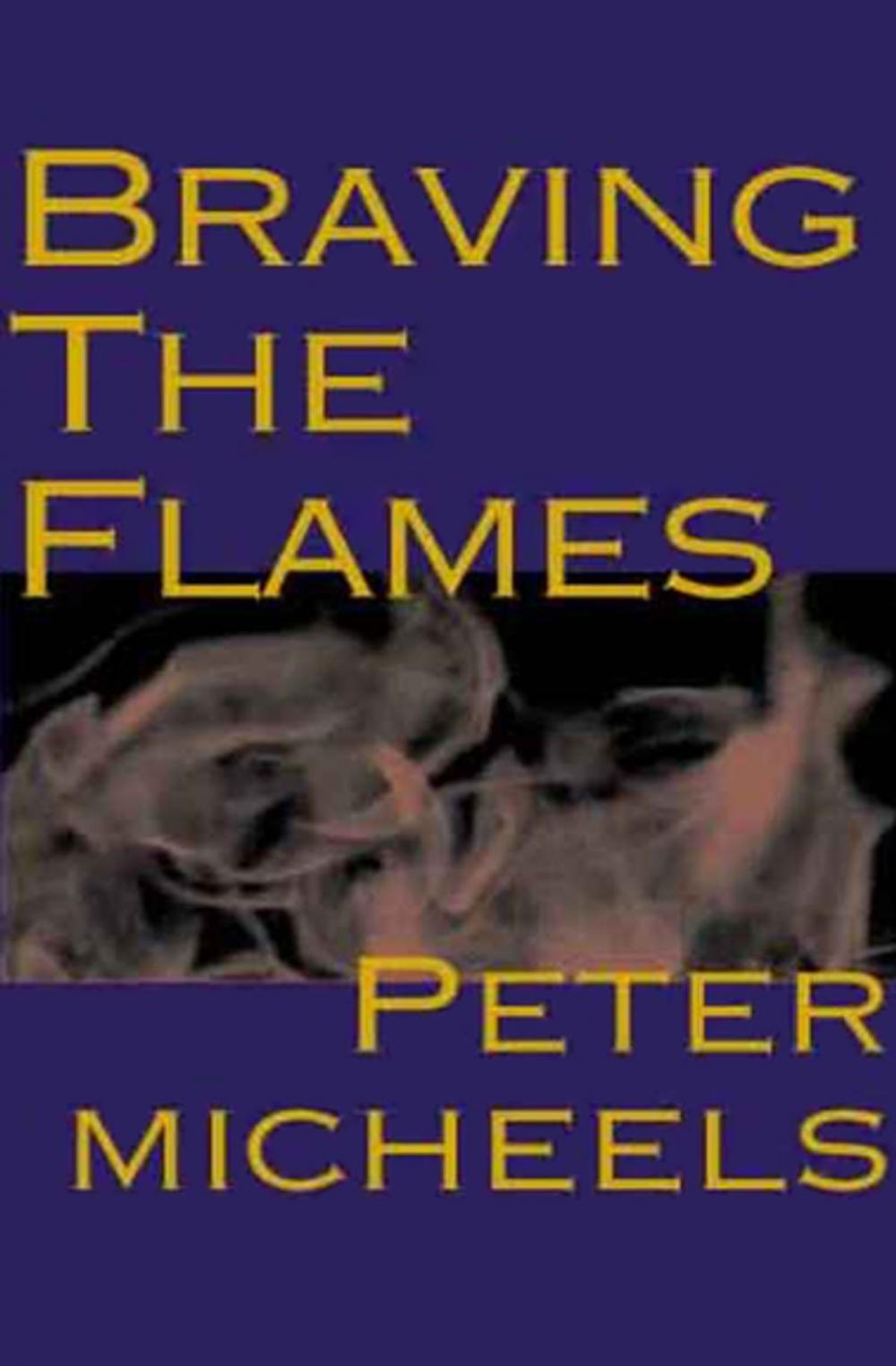 Big bigCover of Braving the Flames