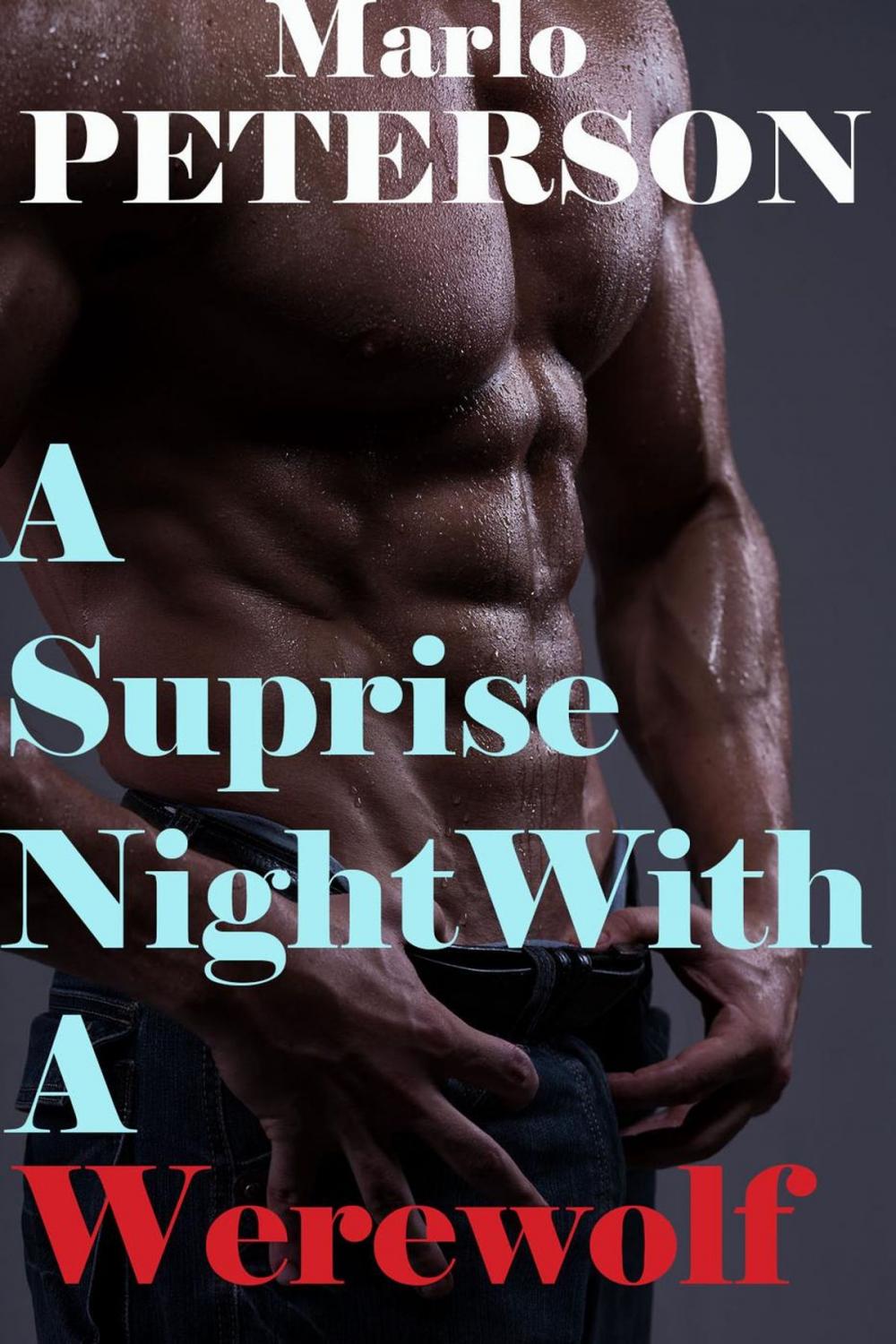 Big bigCover of A Surprise Night with a Werewolf